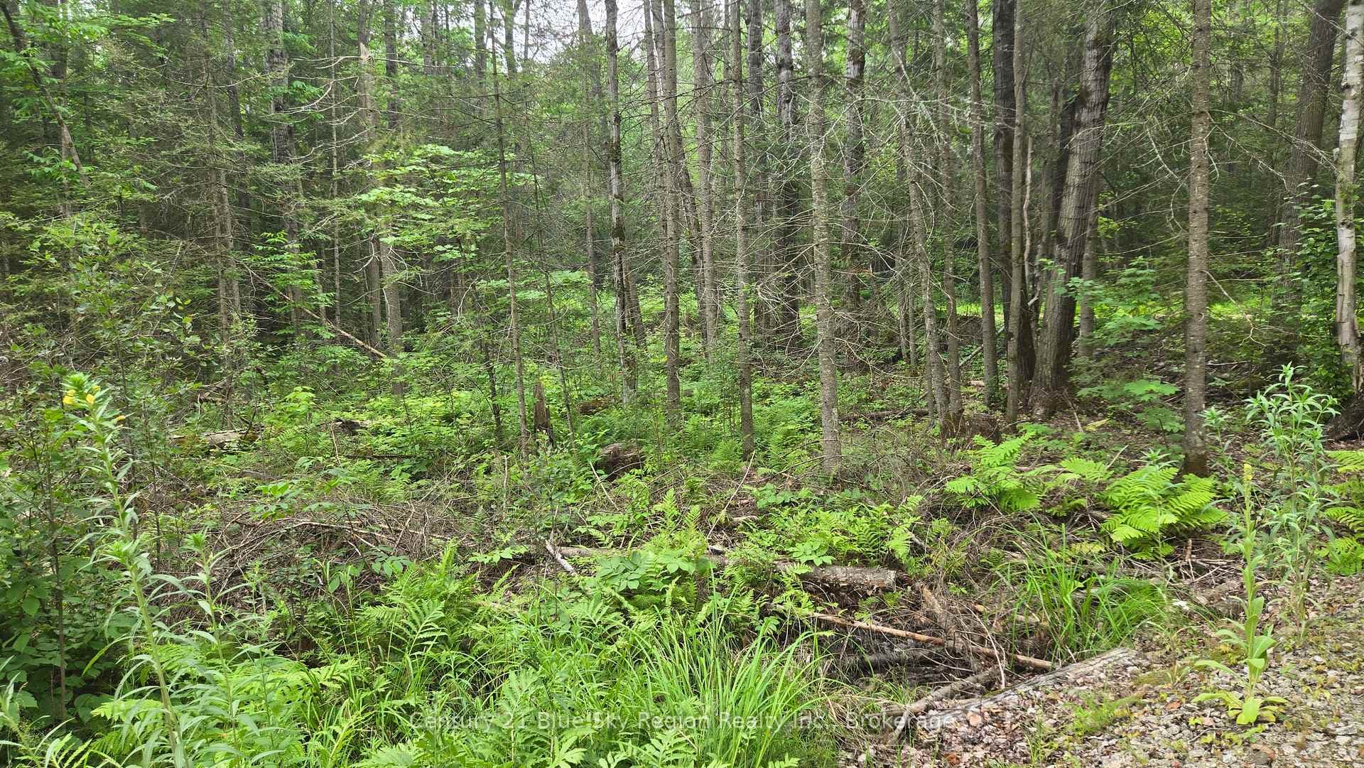 2438 Village Road photo 7