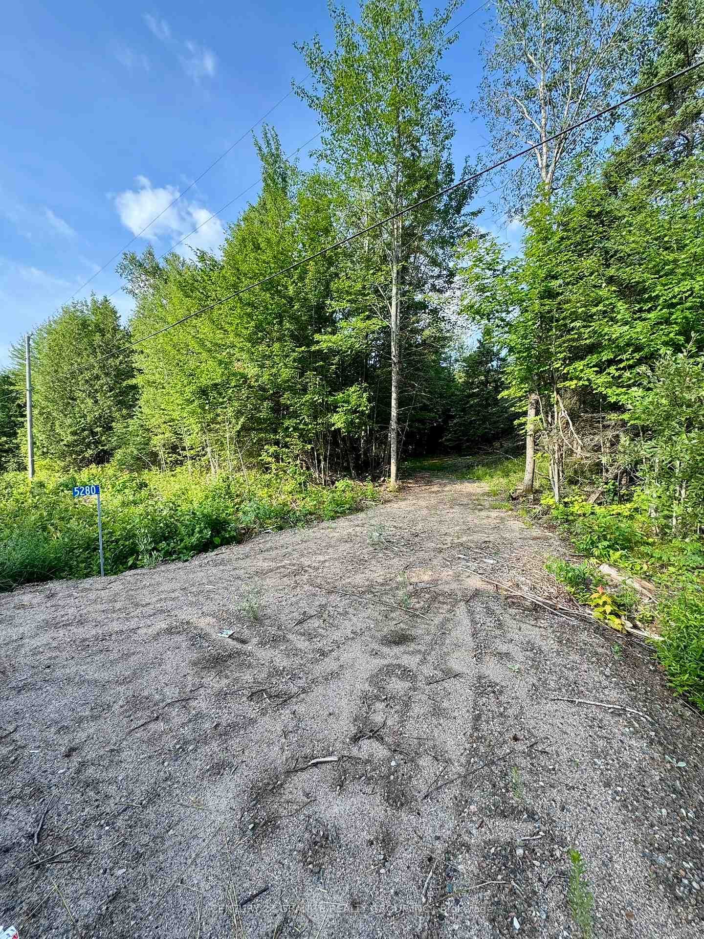 5280 Boulter Road photo 8
