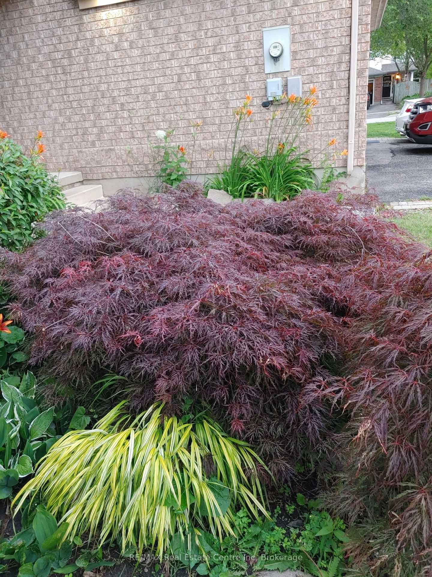 146 Lee Street photo 38