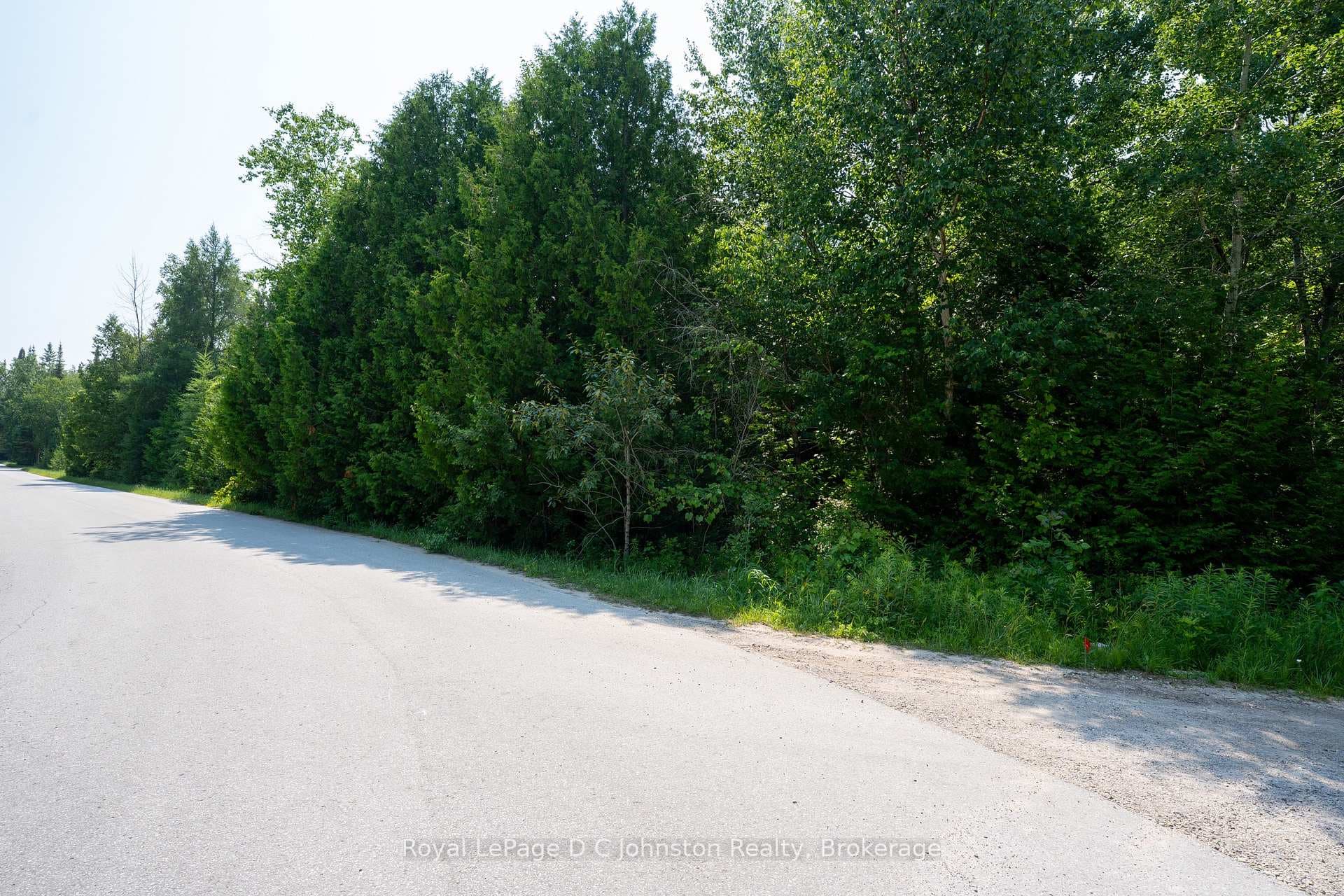 89 Sprucedale Drive photo 8