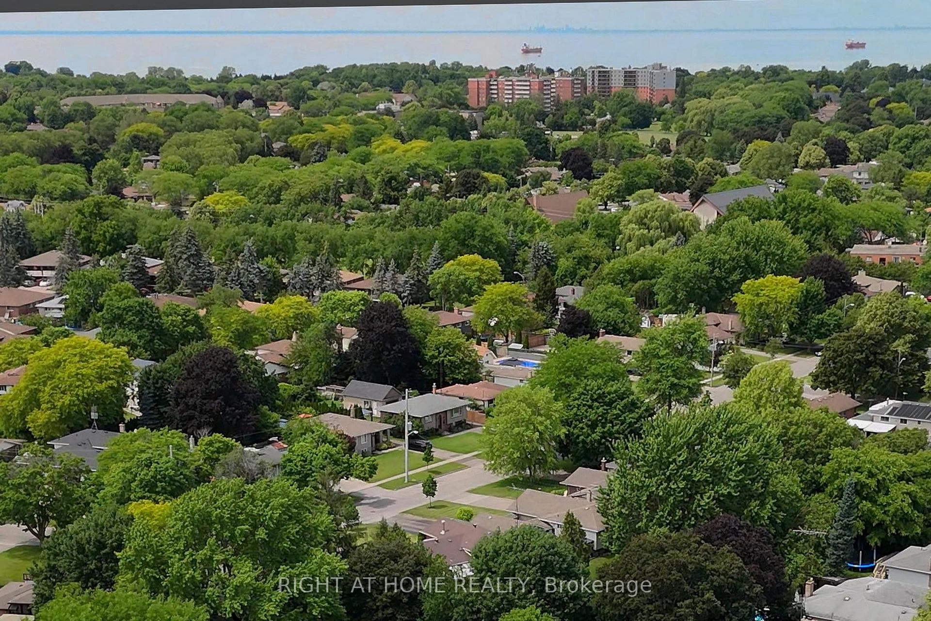 446 Geneva Street photo 10