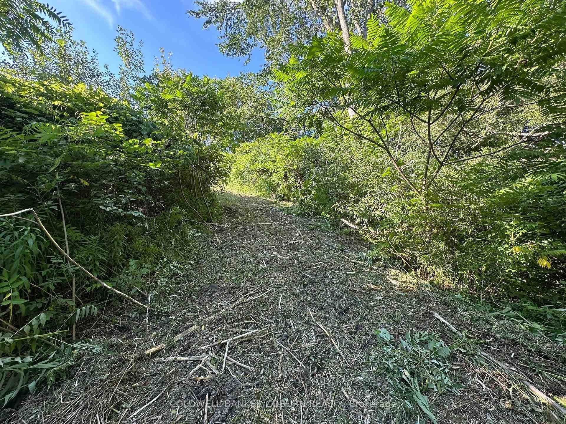 Waterfront Lot