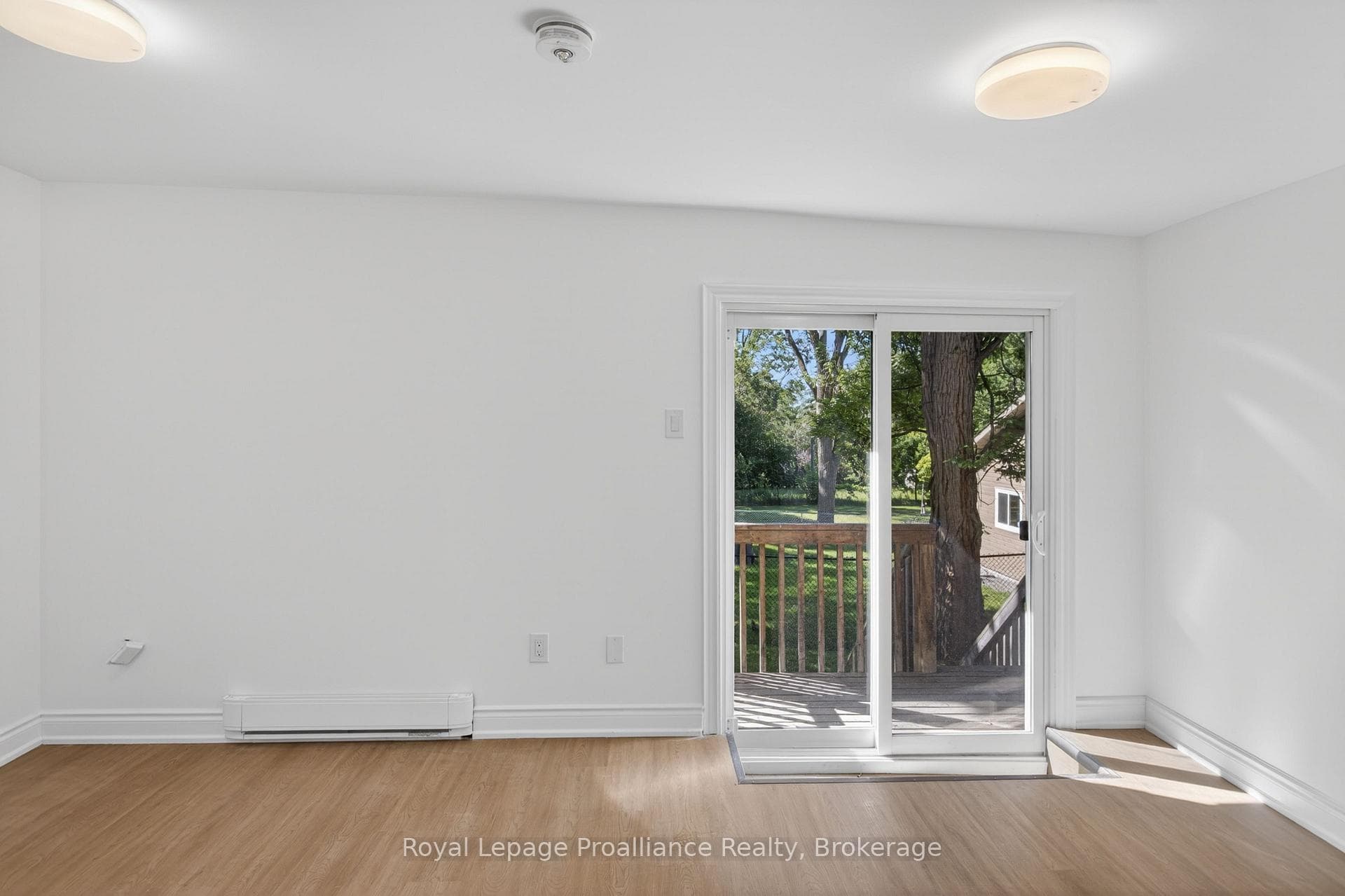 171 Hazlitt Street Unit 3 photo 6