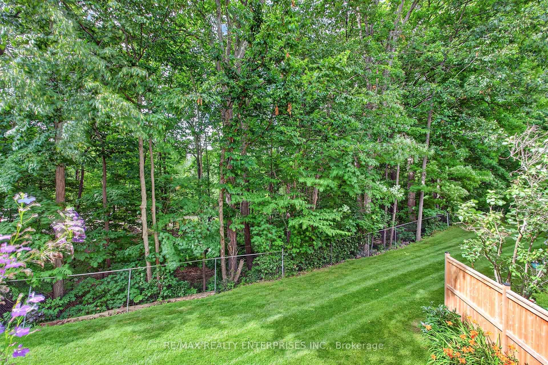Backyard Porch View