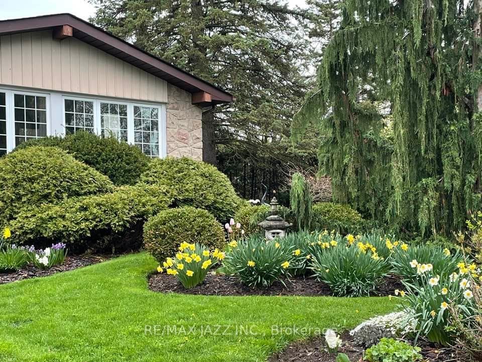 Summer Perennial Garden