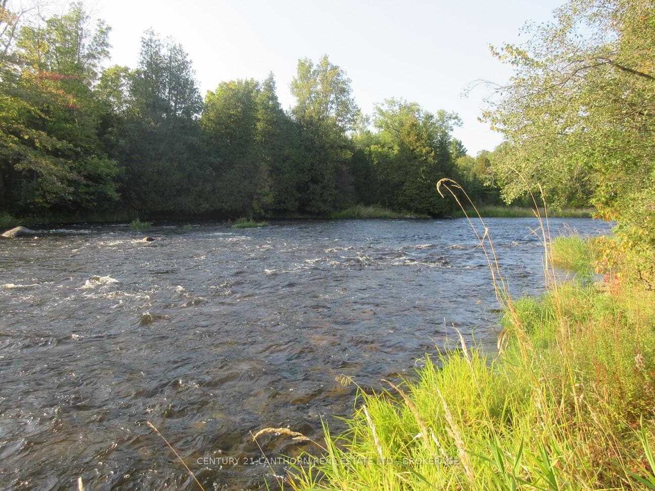 0 Salmon River Road photo 19