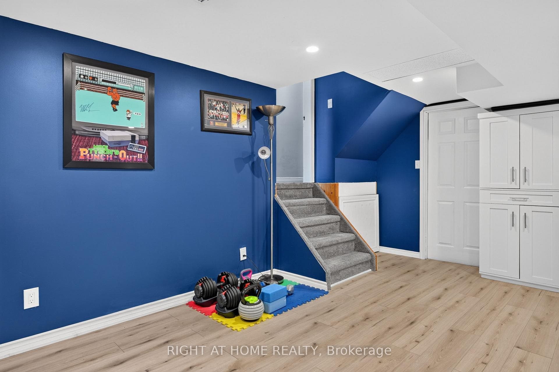 Basement entry, laundry and crawl space accesses