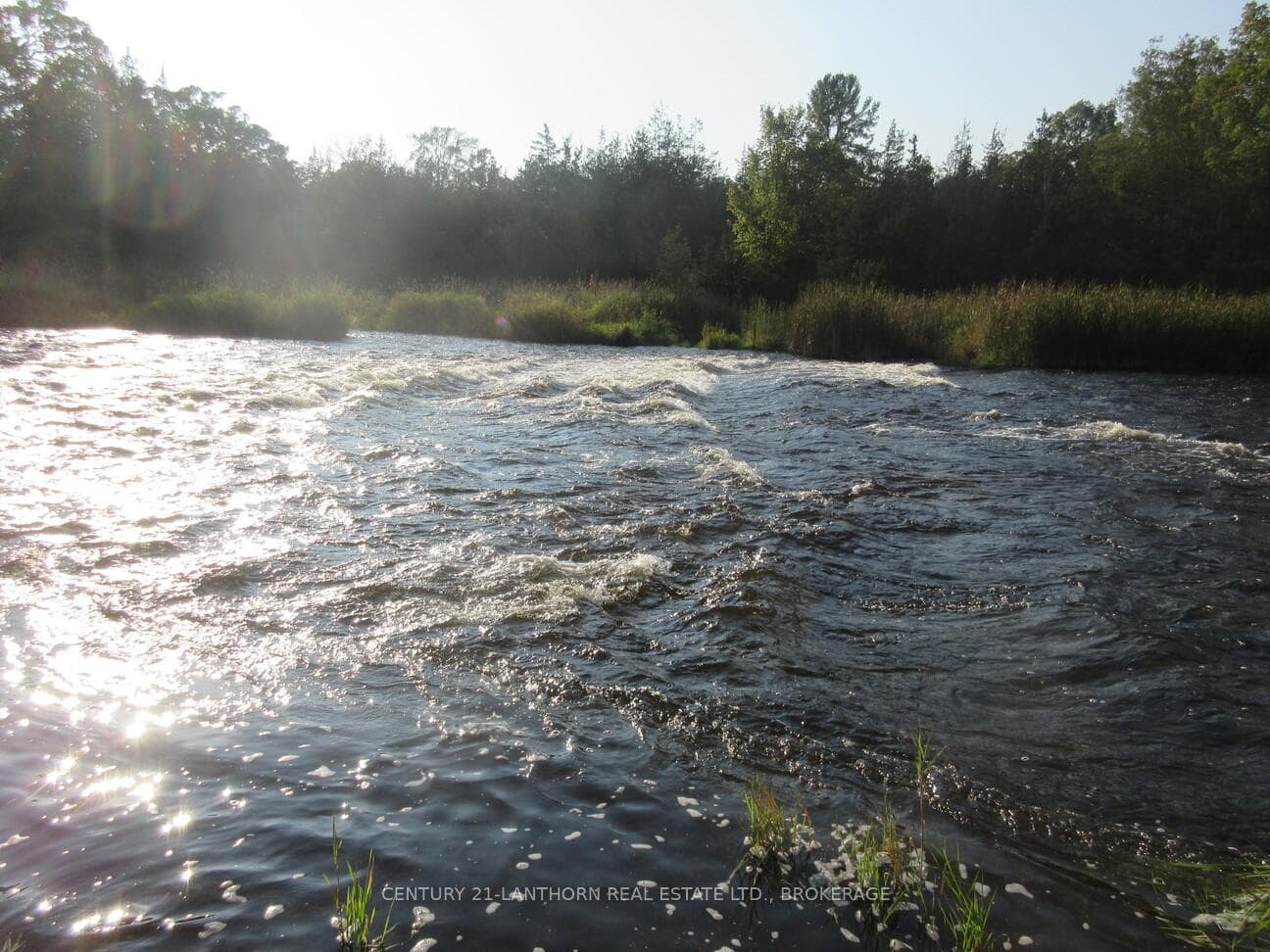 0 Salmon River Road photo 23