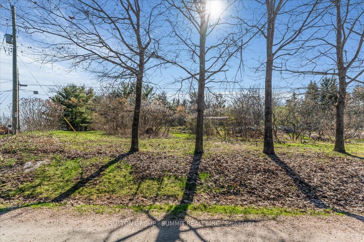 49 PINERIDGE Drive photo 11