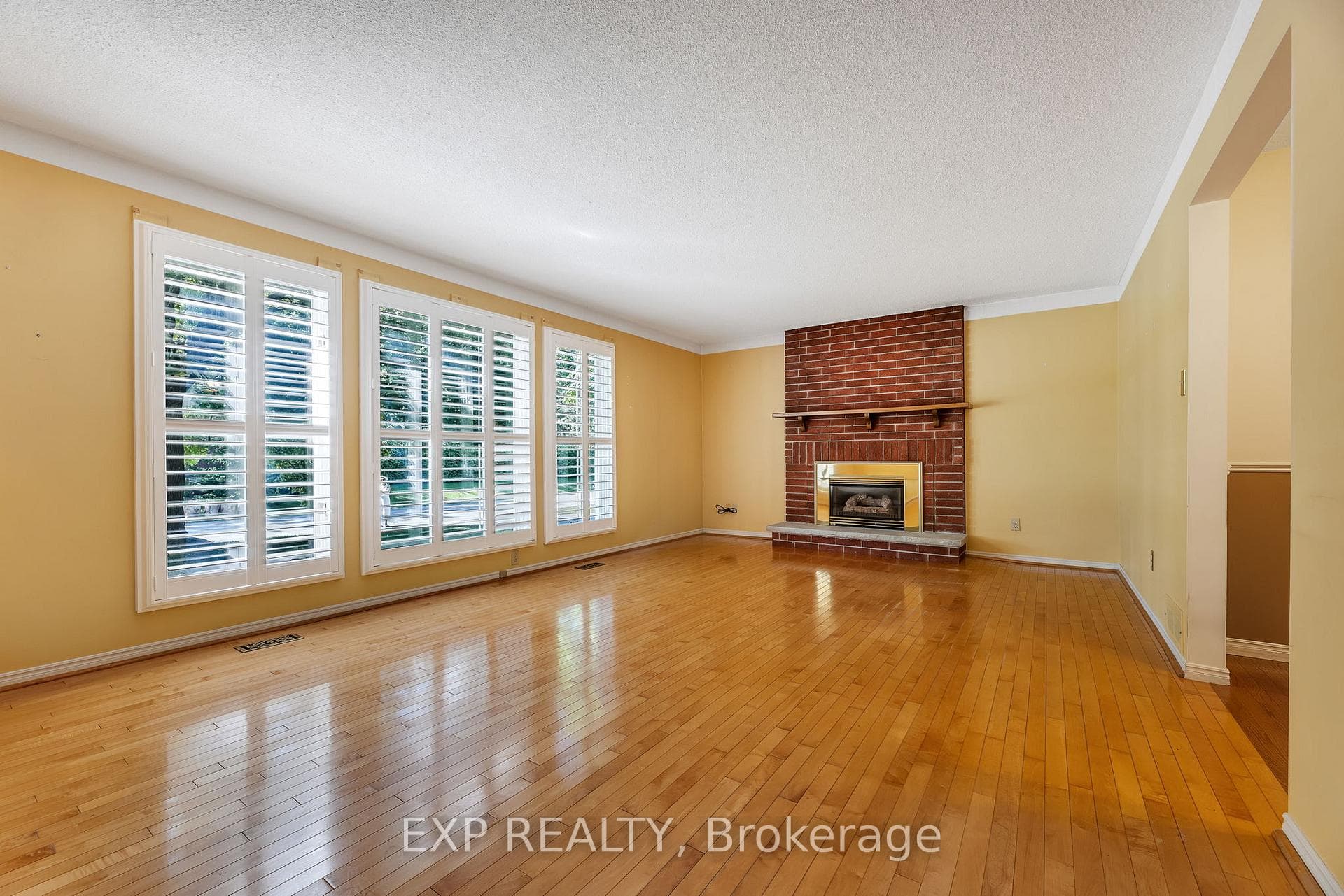 Family Room/Living Room