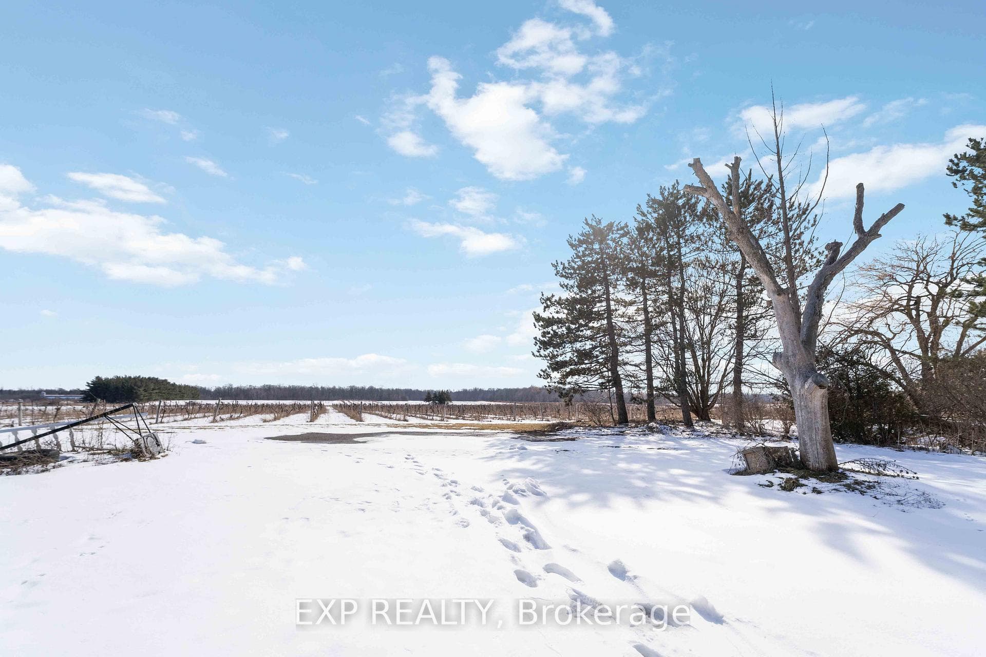 5378 Fly Road photo 41