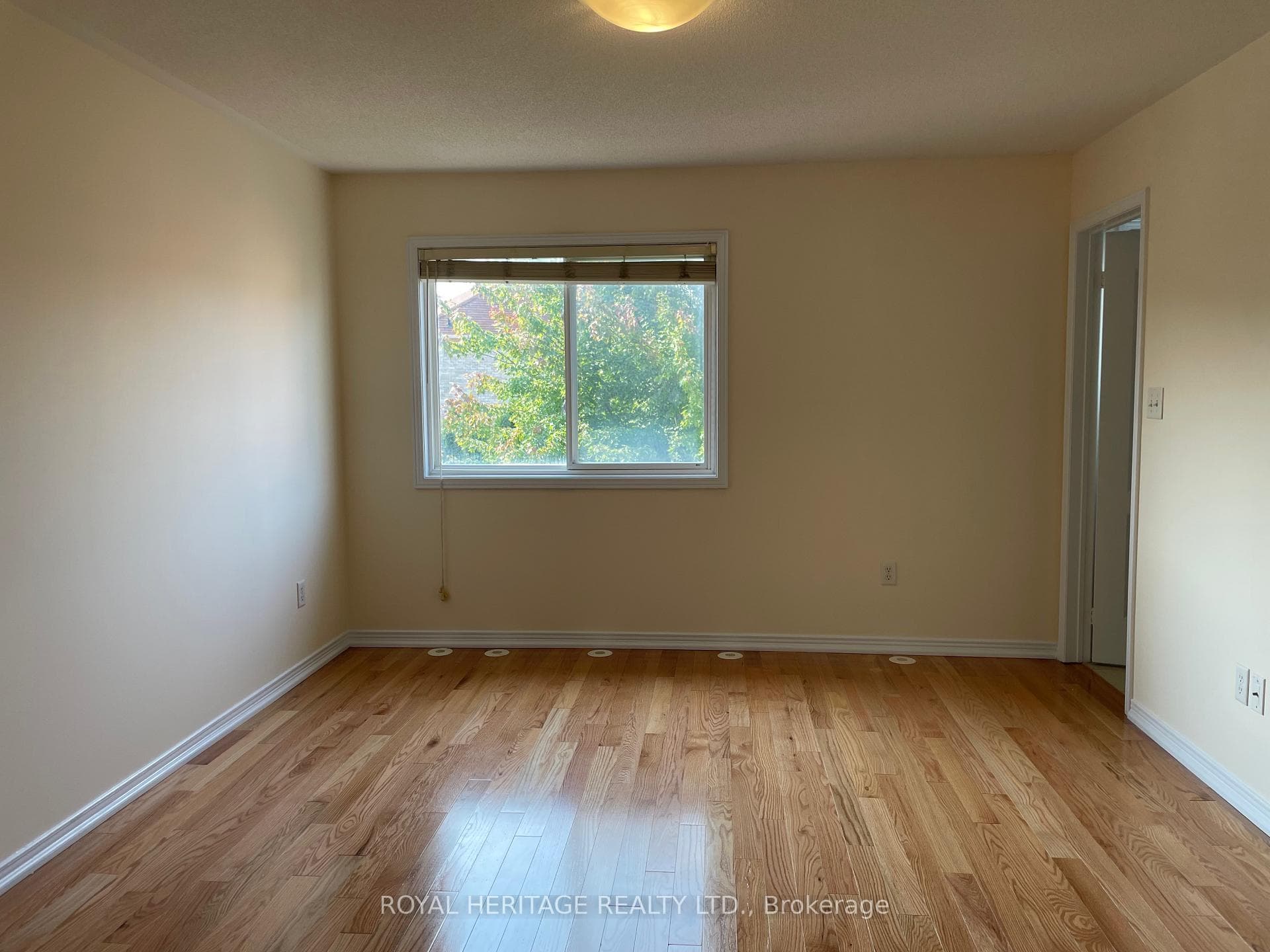 16 Pilkington Drive photo 11