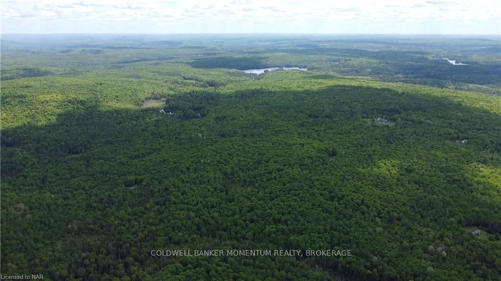0 MADAWASKA Road photo 18