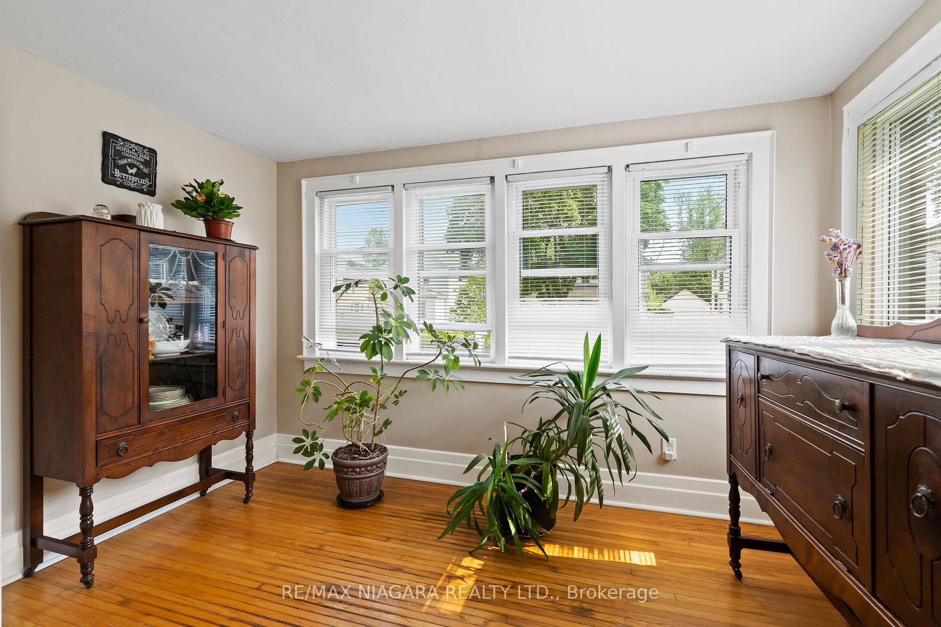 257 Ash Street photo 18