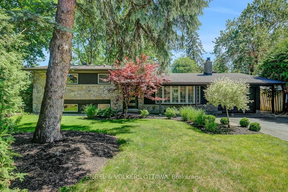 54 Qualicum Street photo 1