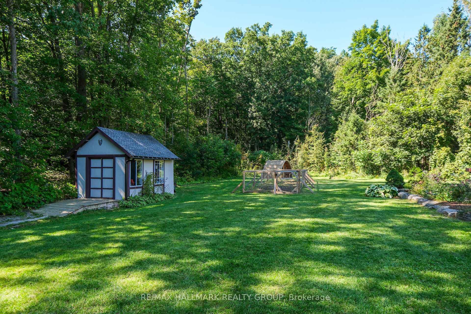 Shed & gardens