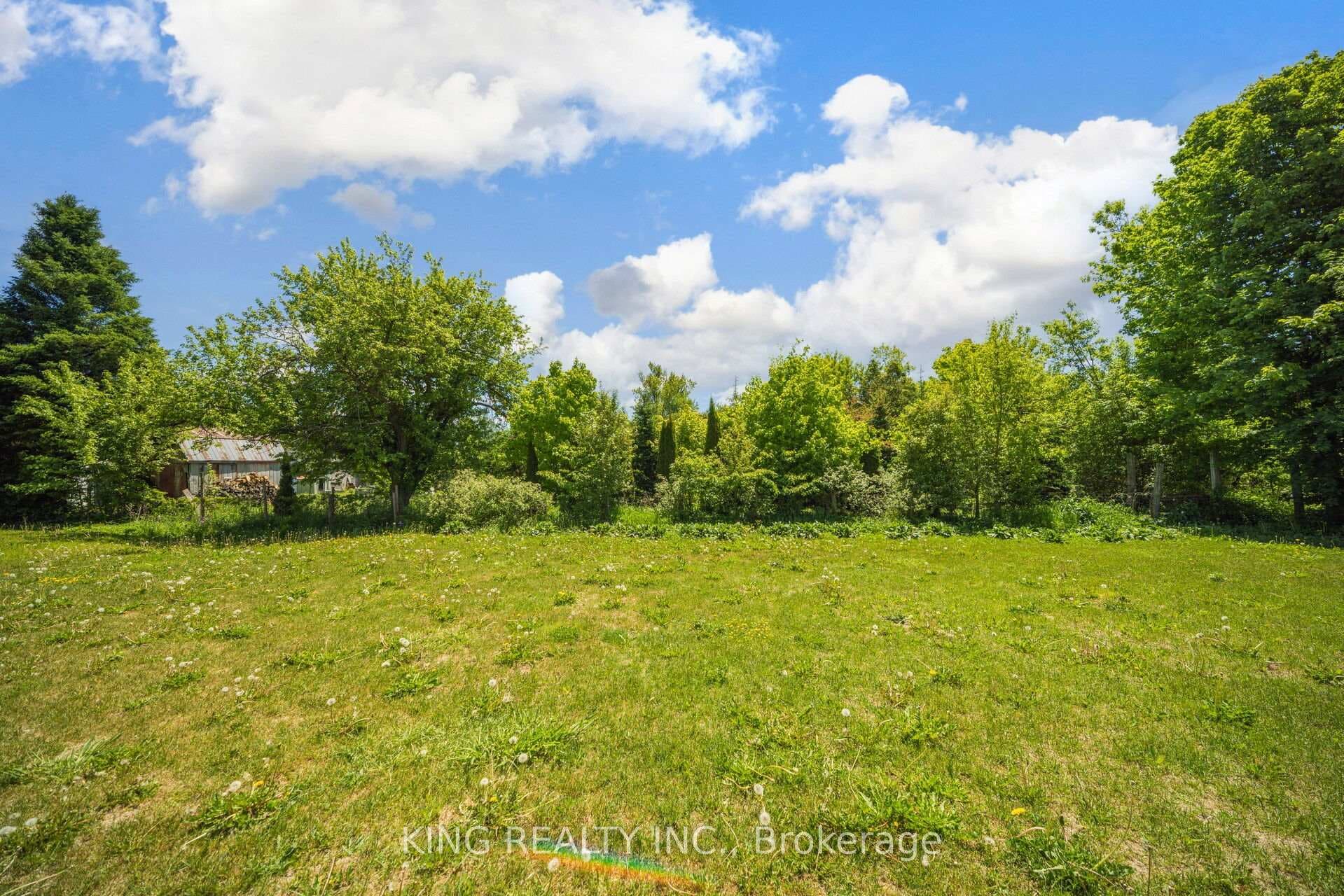 7 Todd Crescent photo 48