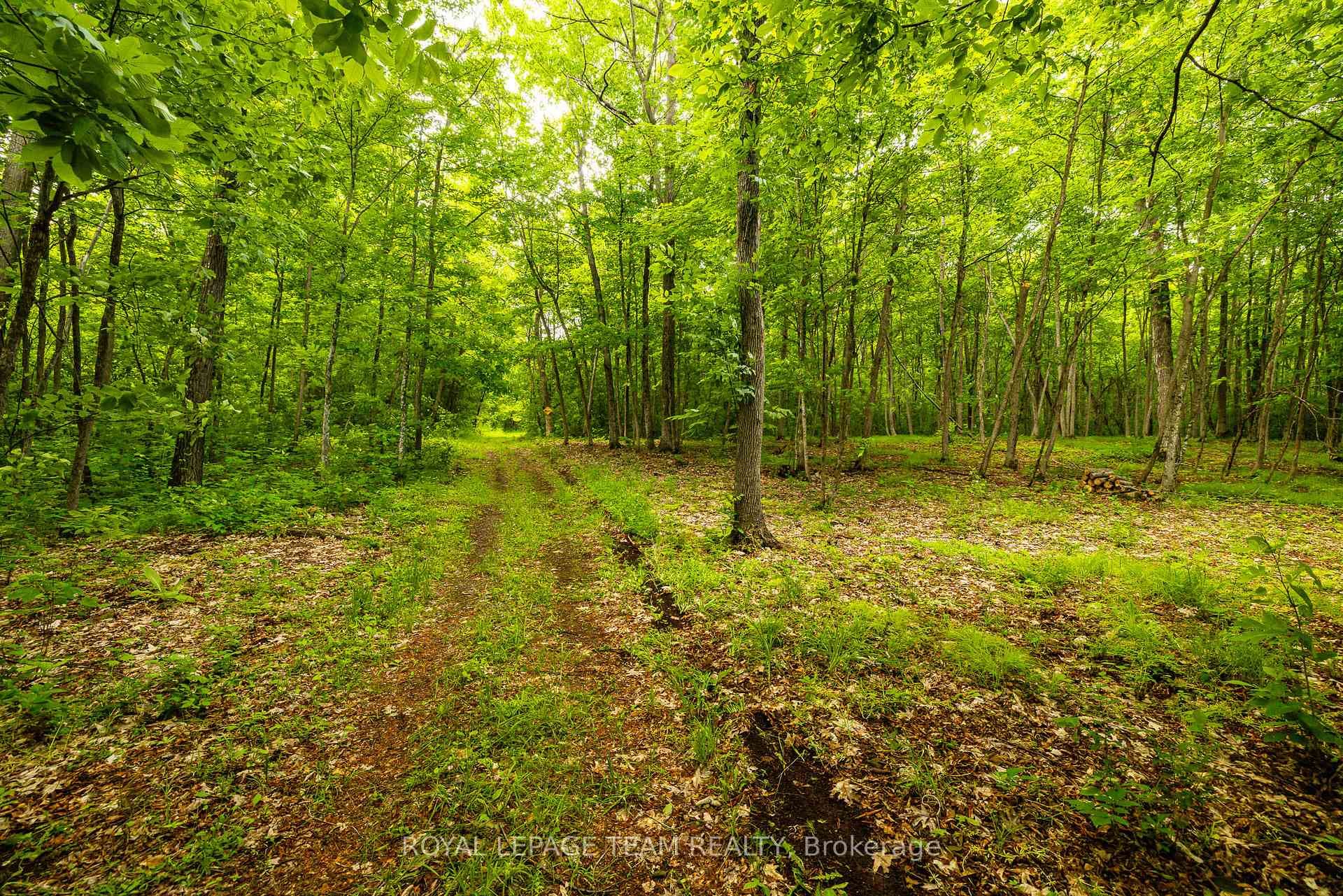 1142 County Road 43 Road photo 47