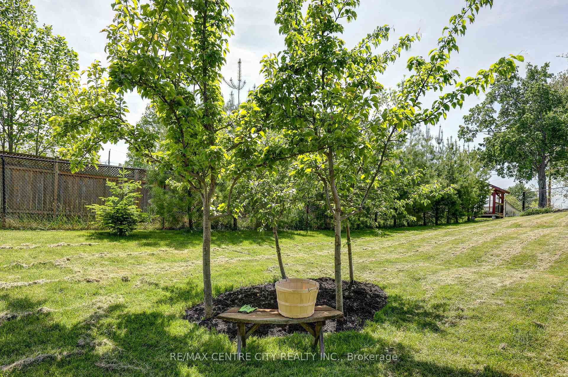 fruit trees