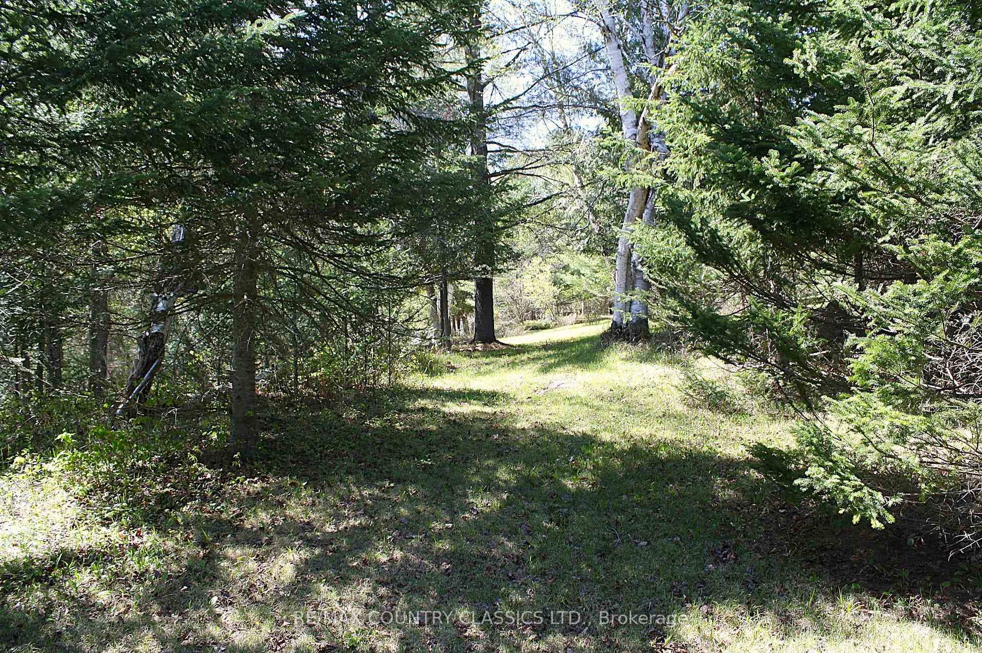 1060 Little Ireland Road photo 11