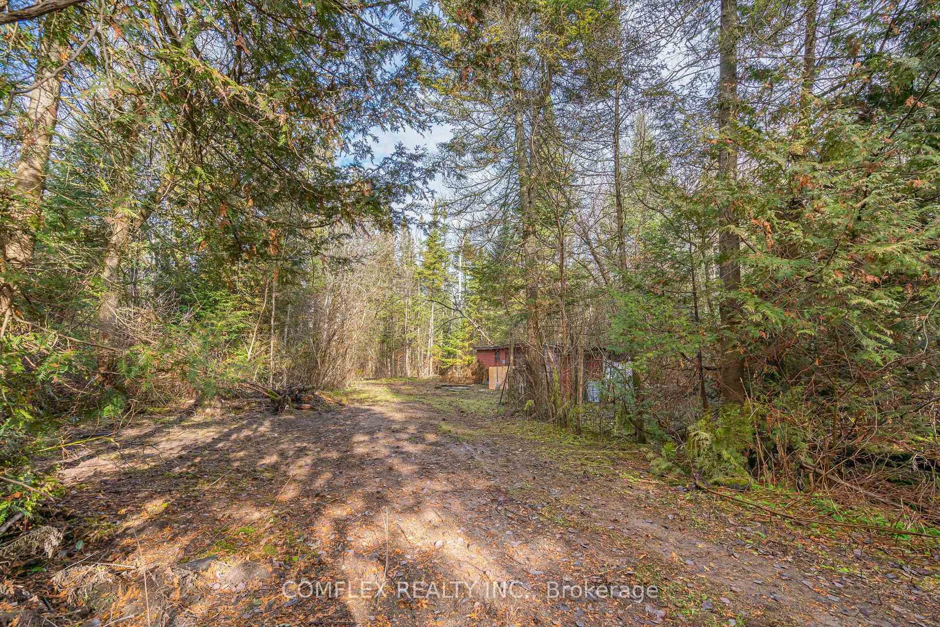 Walking Trail