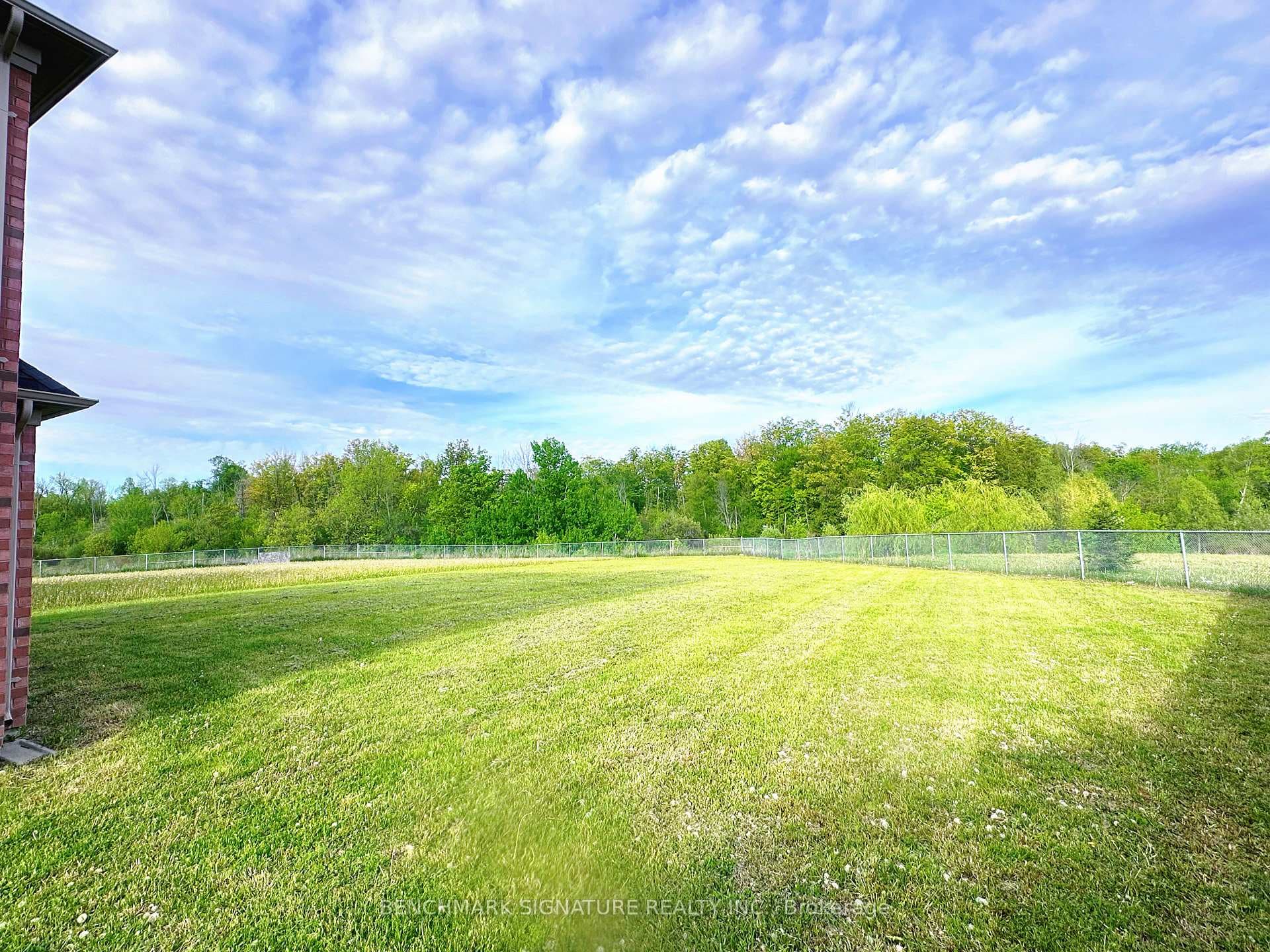 backyard 2