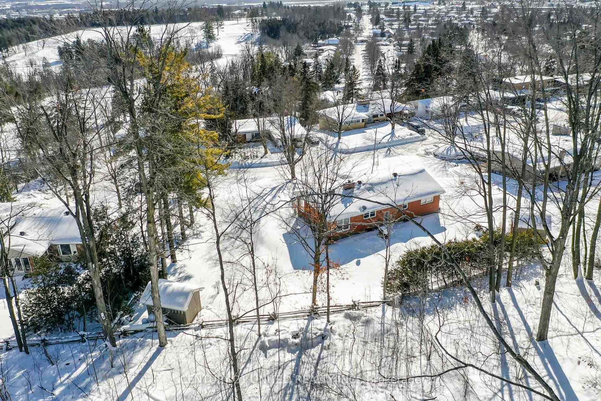 43 Crestwood Avenue photo 34