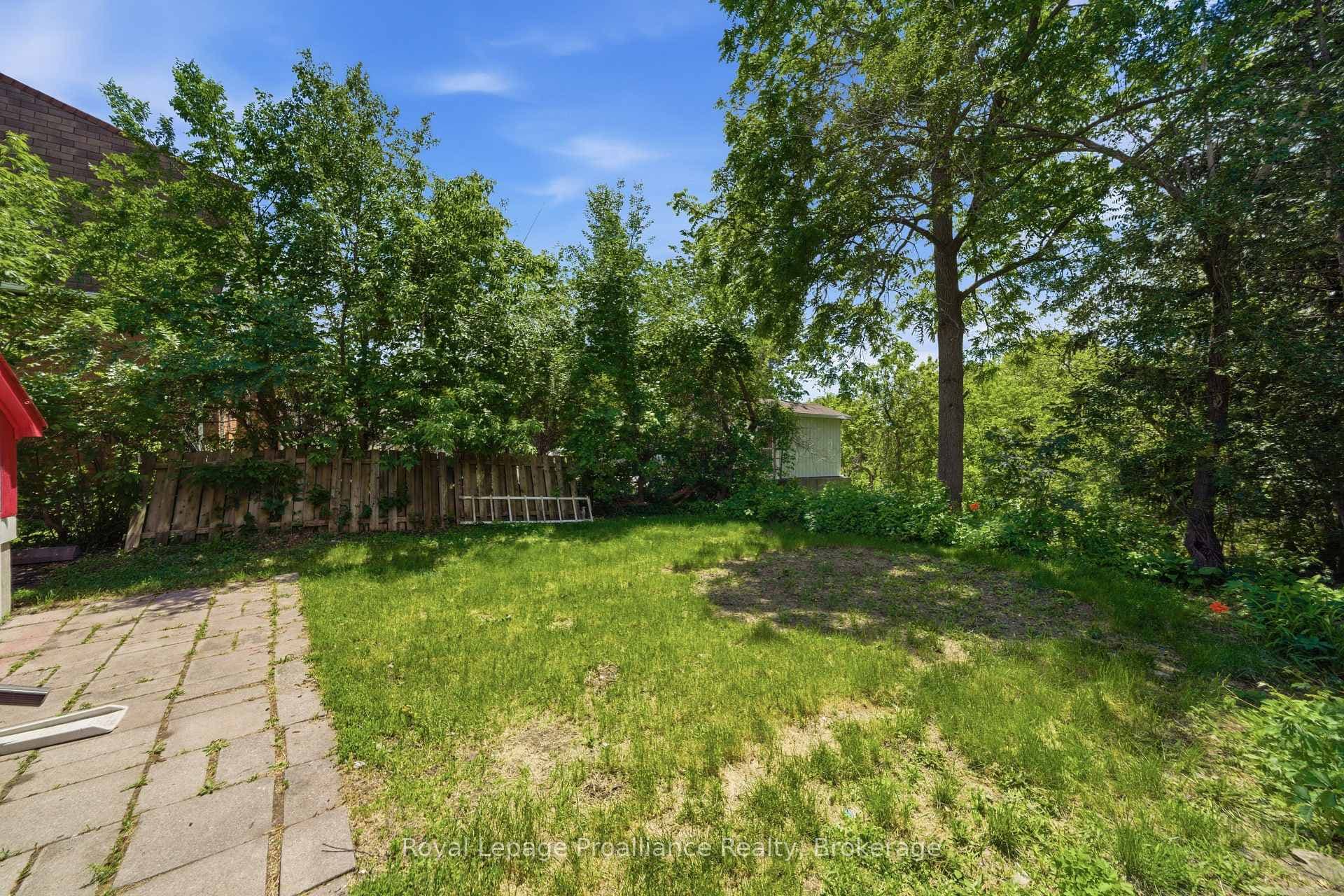 82 Marmora Street photo 49