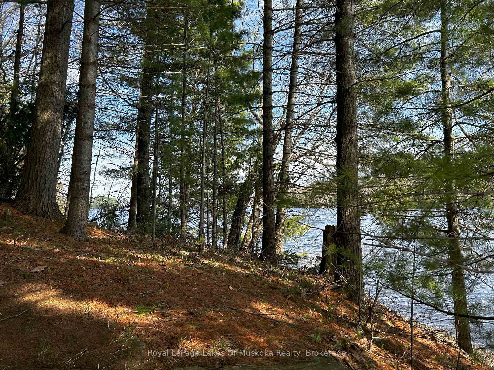 Mixed Woodland Privacy
