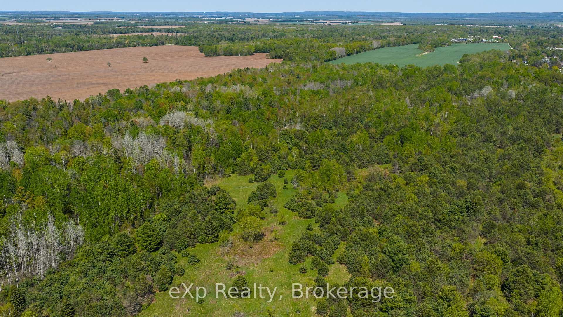 5716 County Road 9 N/A photo 23