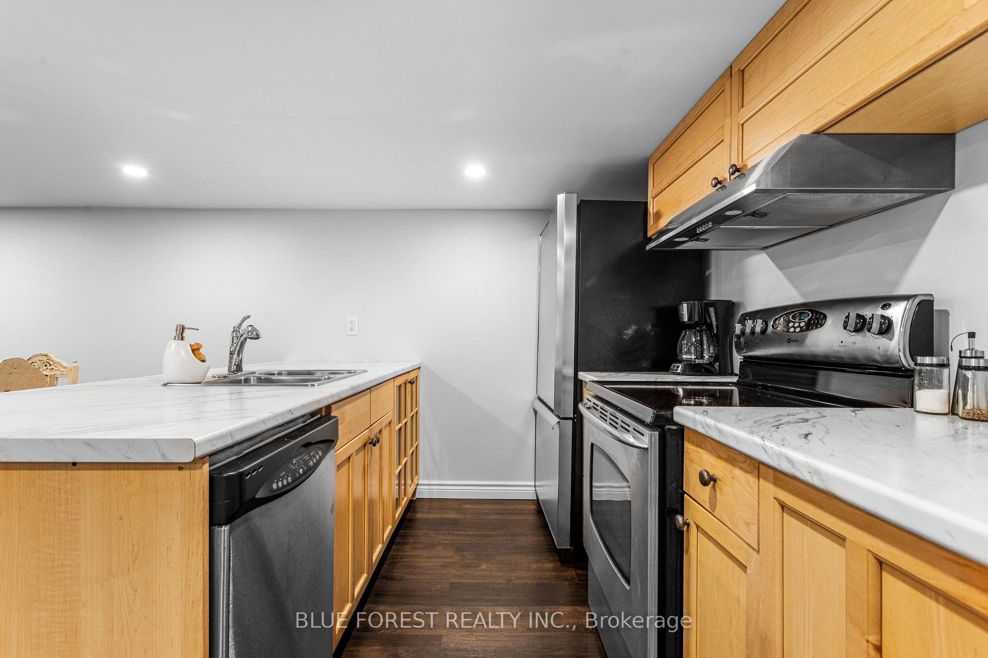 295 Buller Street photo 33