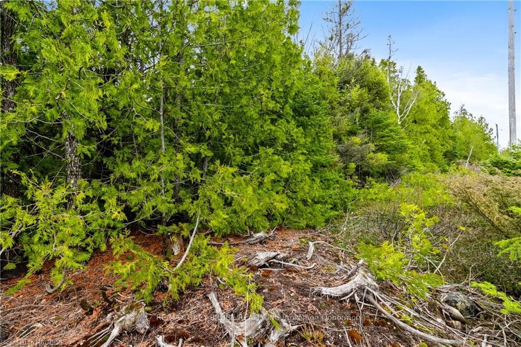 LOT 9 BAYSHORE Avenue photo 9