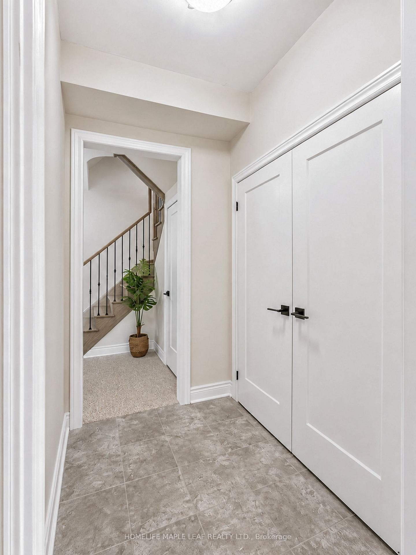11 Aylin Crescent photo 2