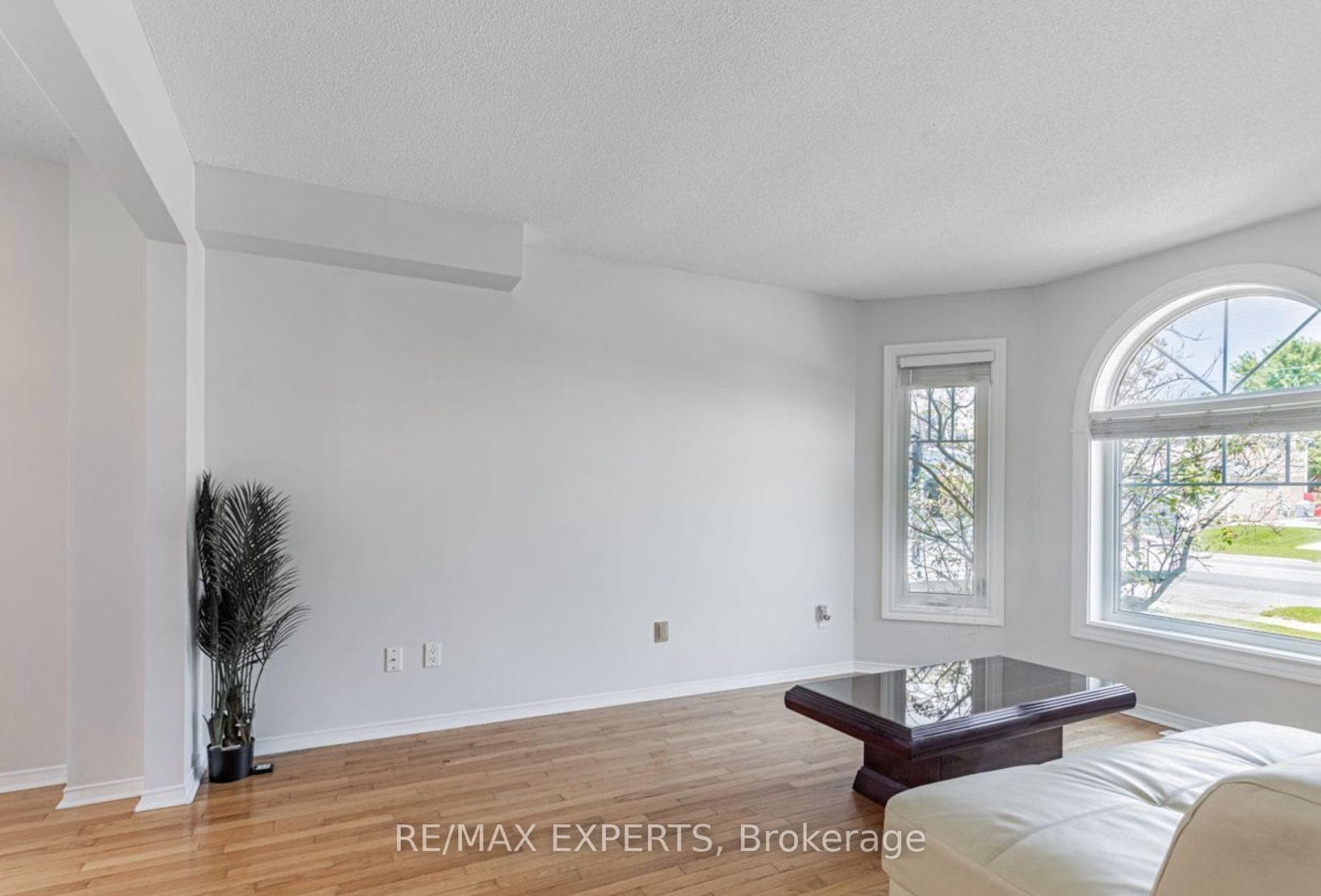 135 Livingstone Street Unit Upper photo 5