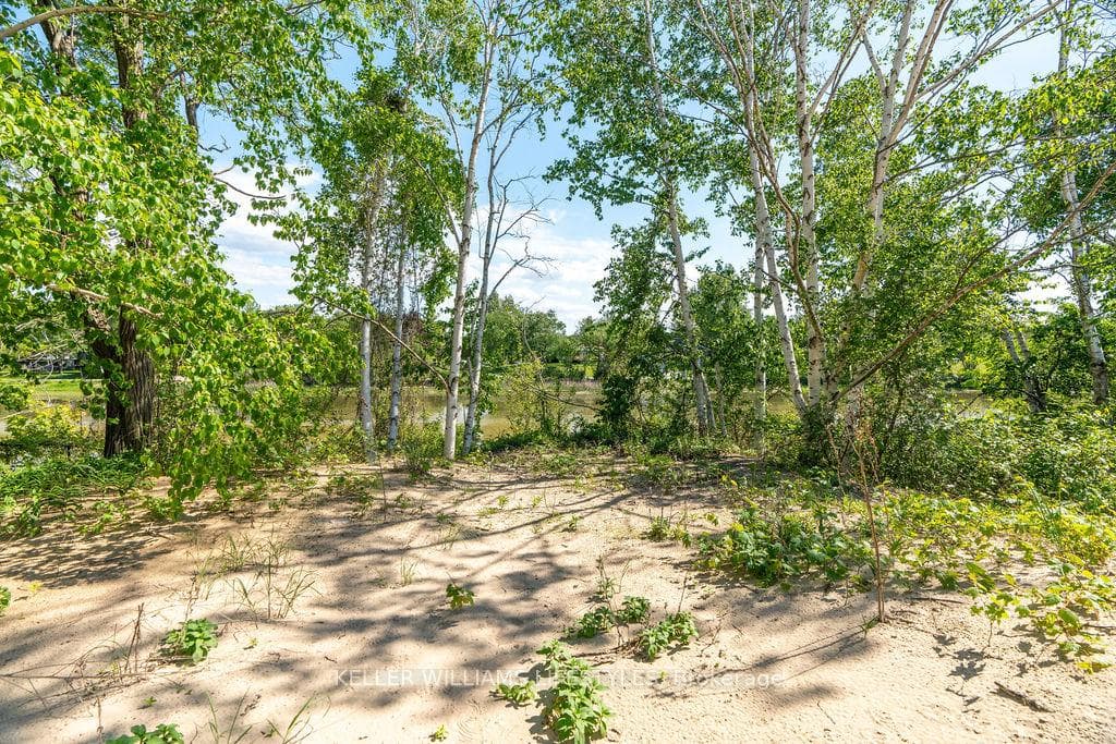 7403 SANDERSON Road photo 32