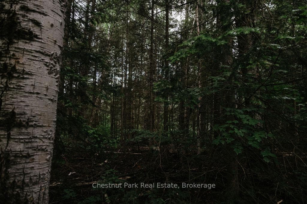 447 Fox Run photo 21