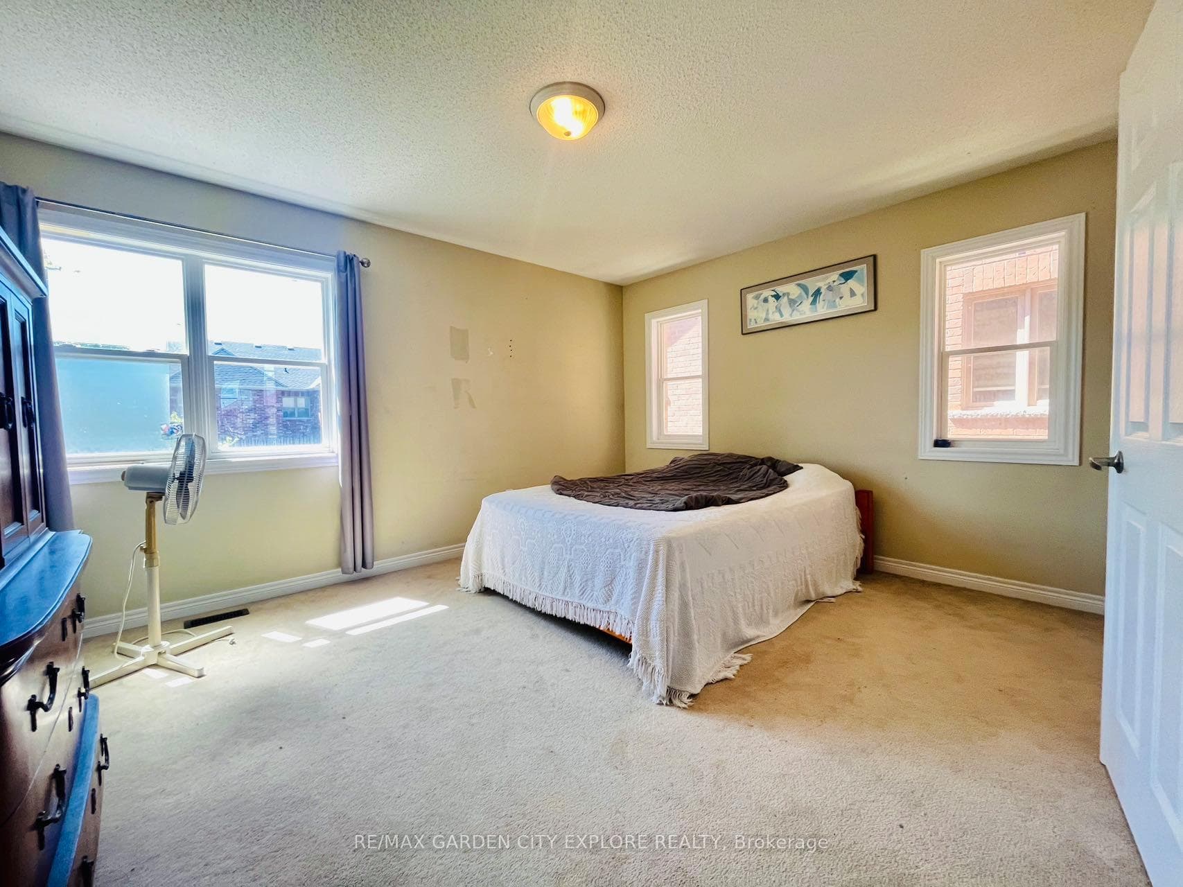 31 Haynes Court photo 9