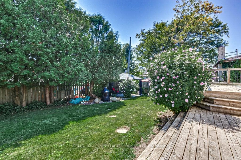 63 David Drive photo 12