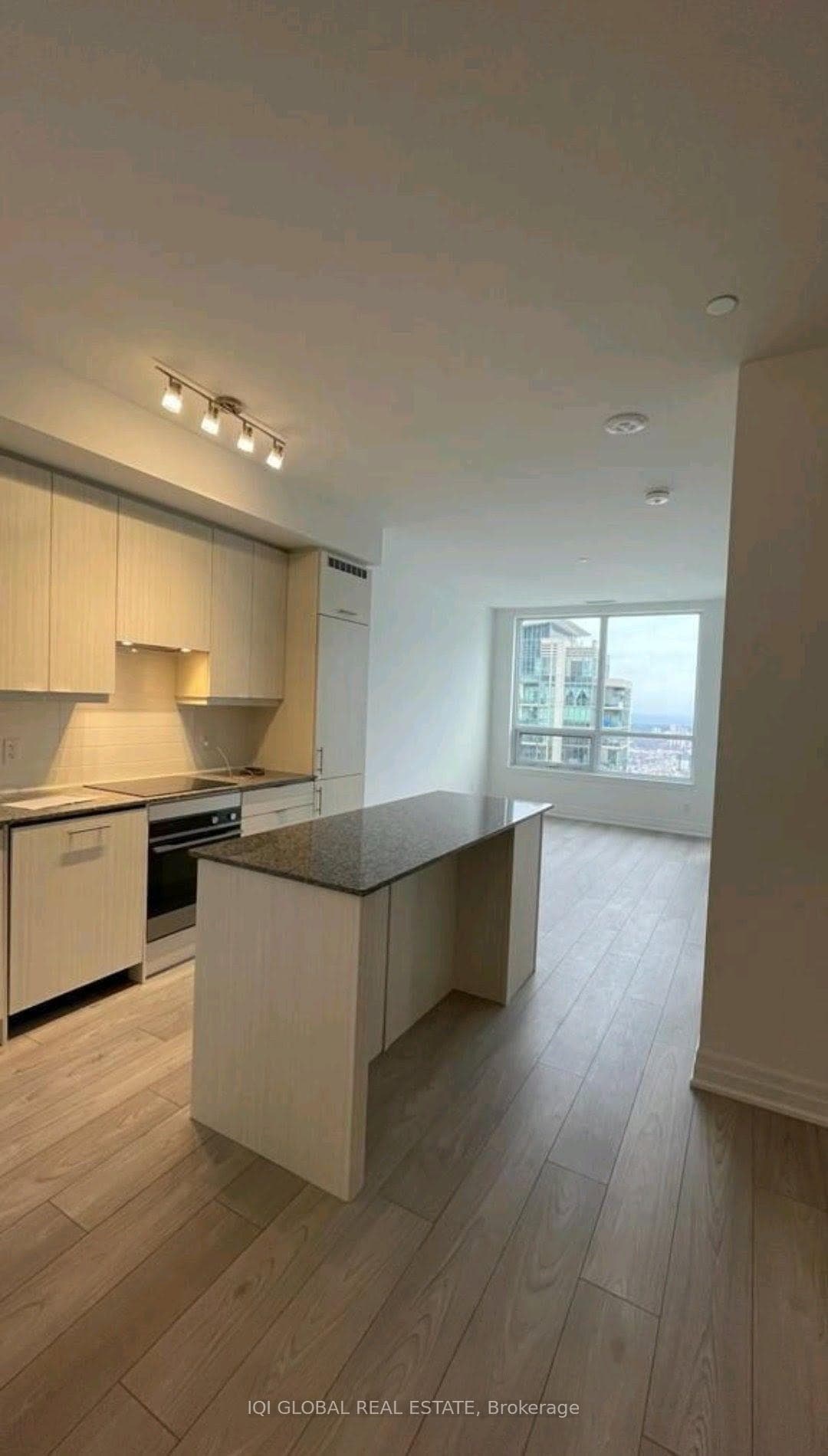 36 Elm Drive photo 4
