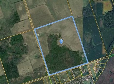 1407 Tracey's Hill Road photo 38