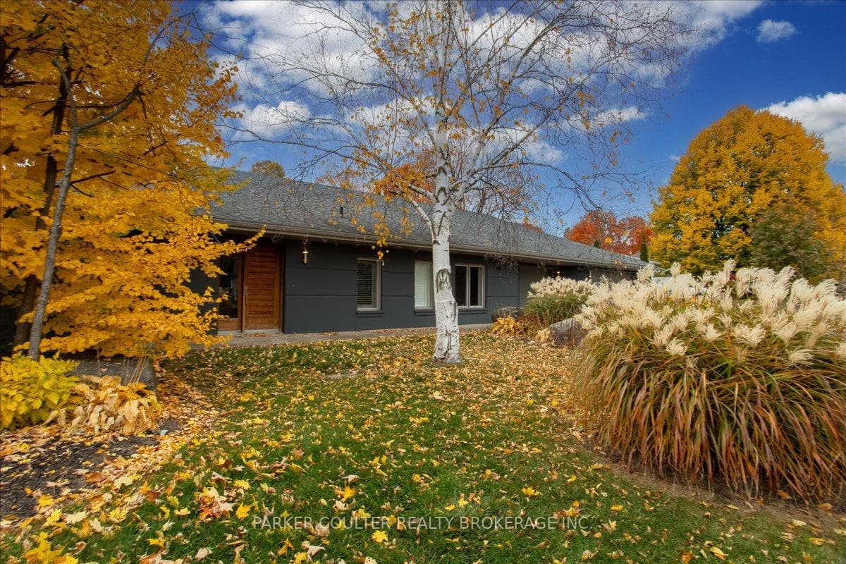 88 Cook Street photo 2