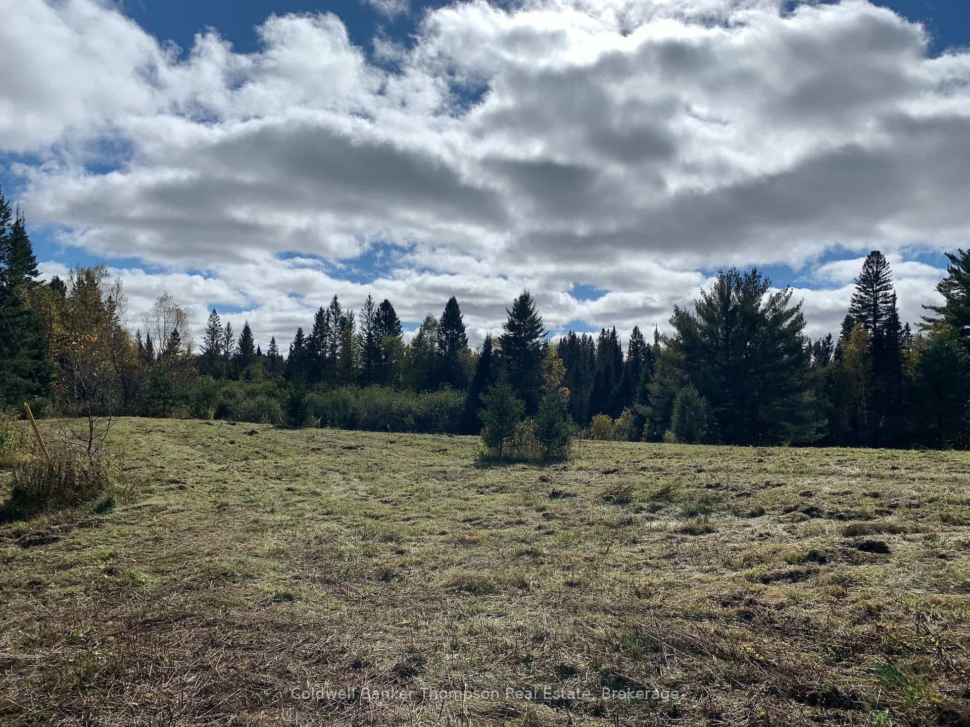 Large Clearing