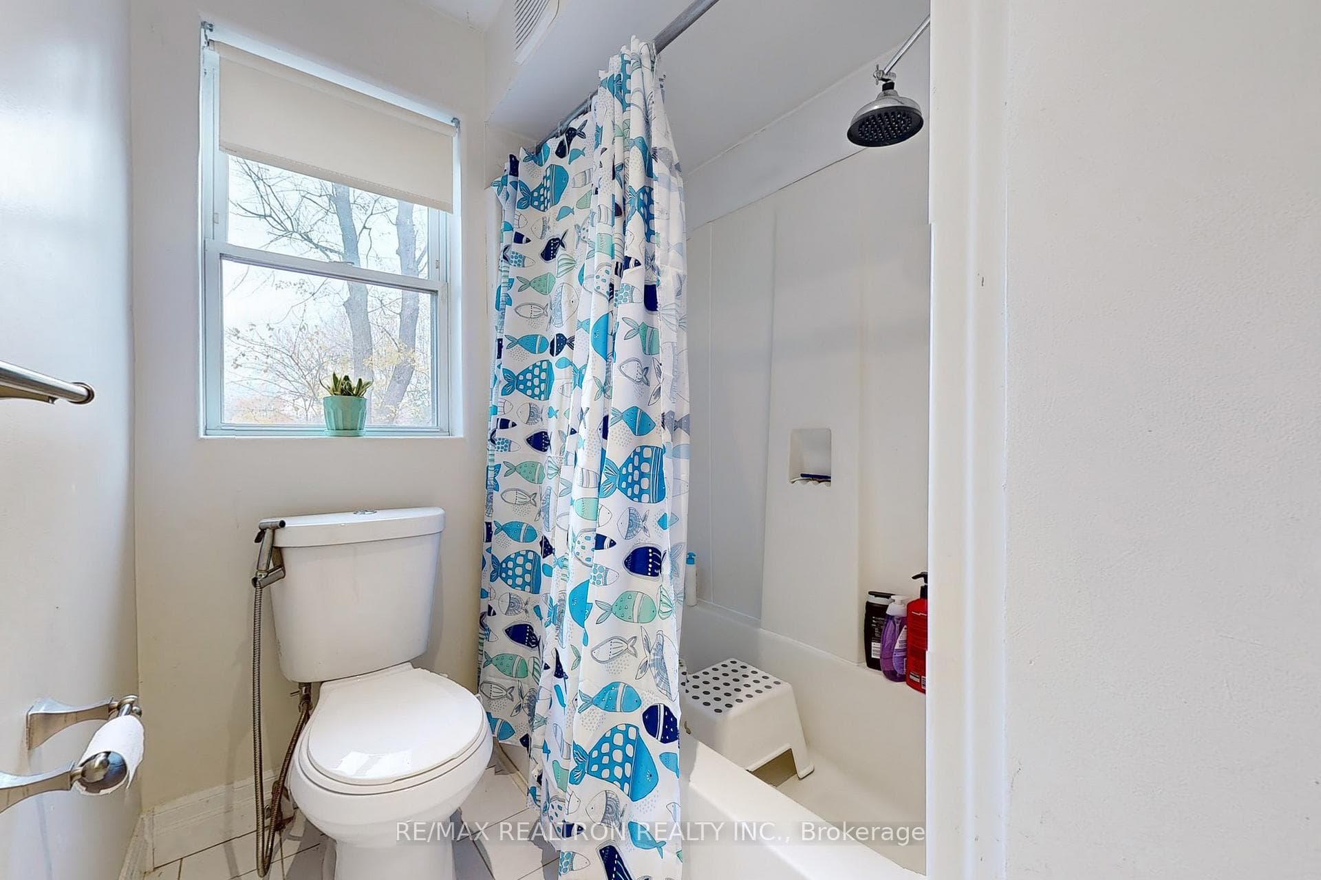 705 Cedar Avenue photo 22