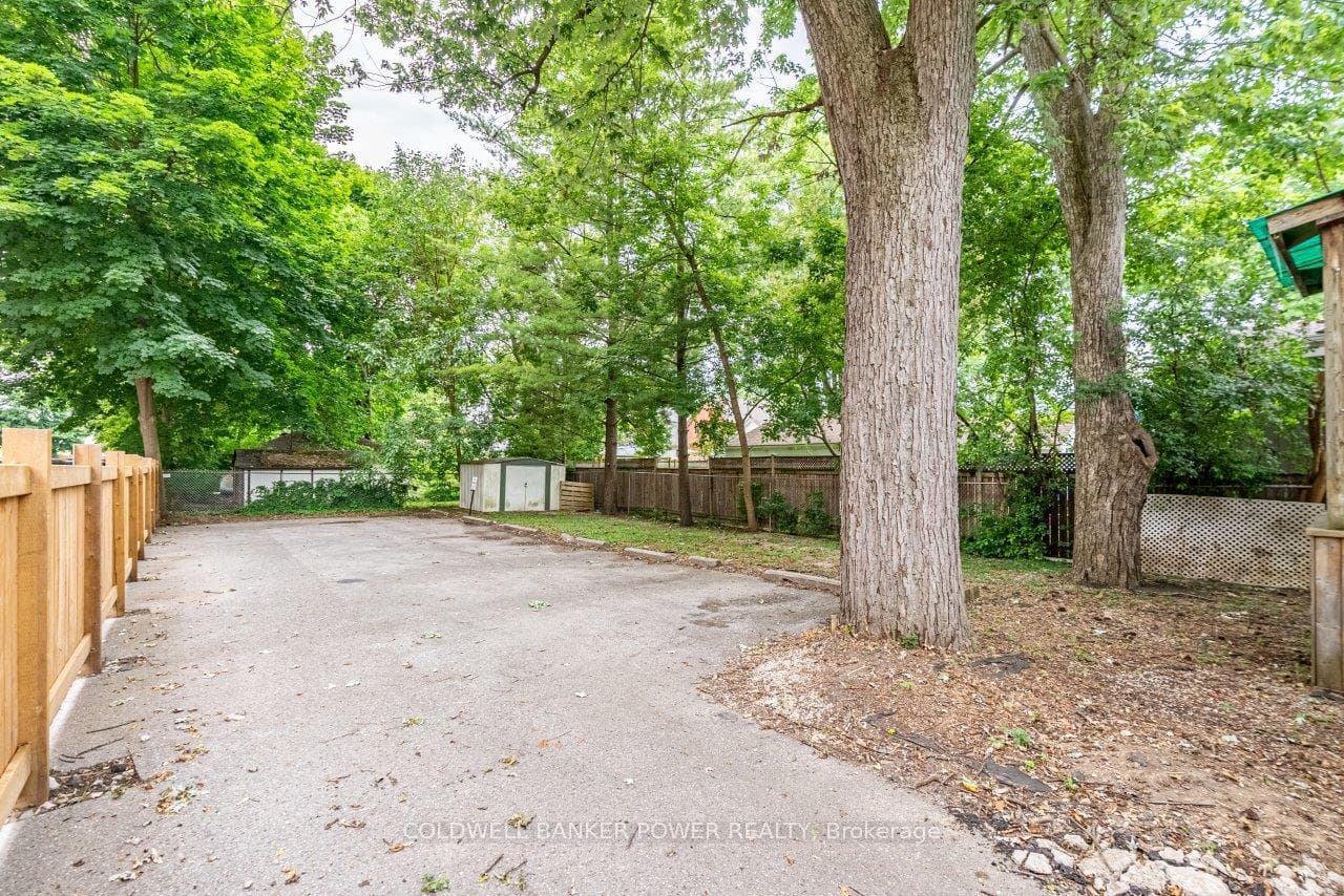 225 Cathcart Street photo 16