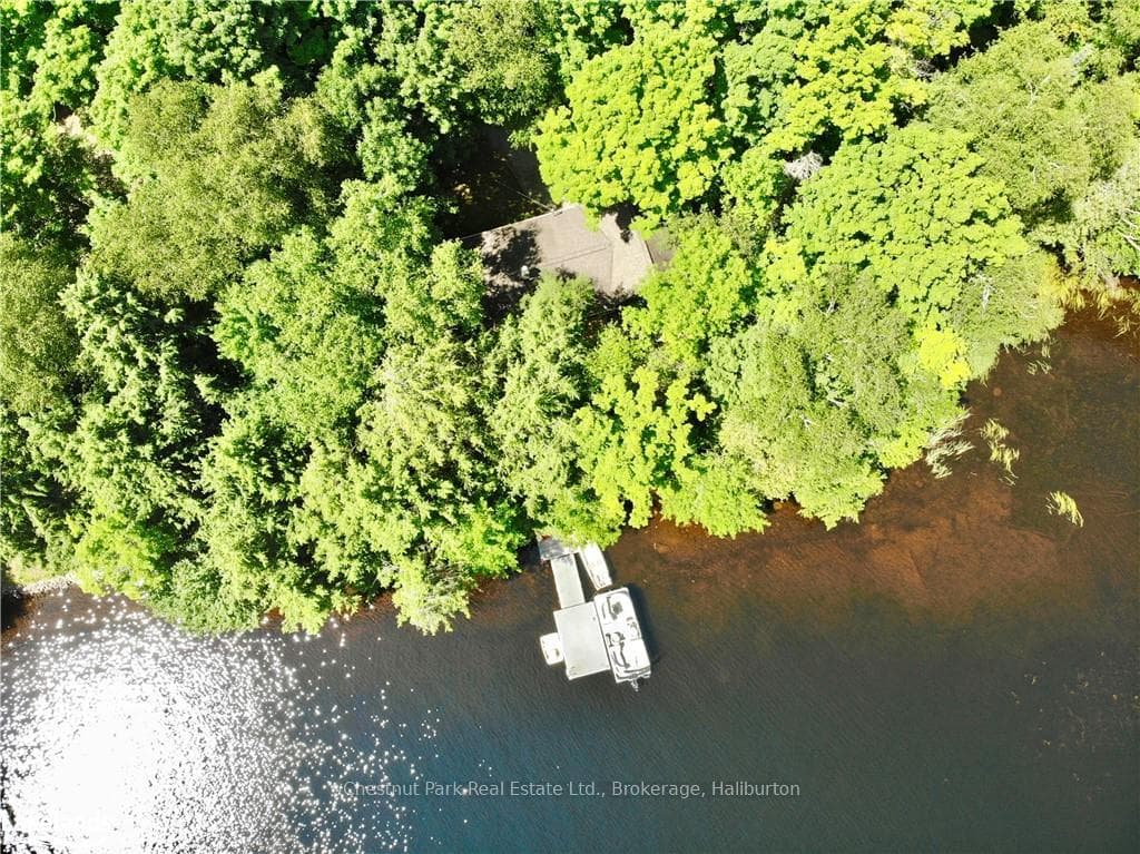1362 HODGSON Road photo 6