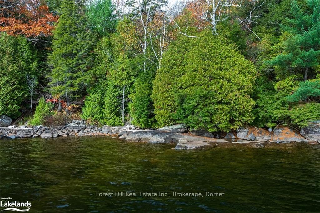 16750 KAWAGAMA LAKE N/A photo 21