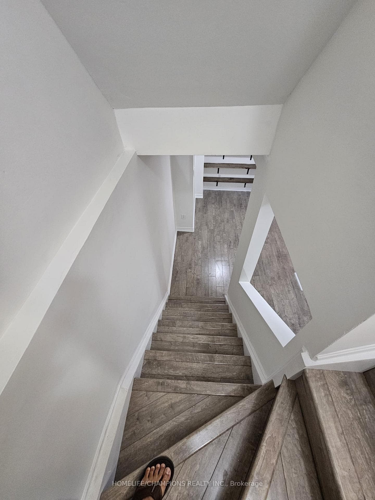 11 Rollo Drive photo 21