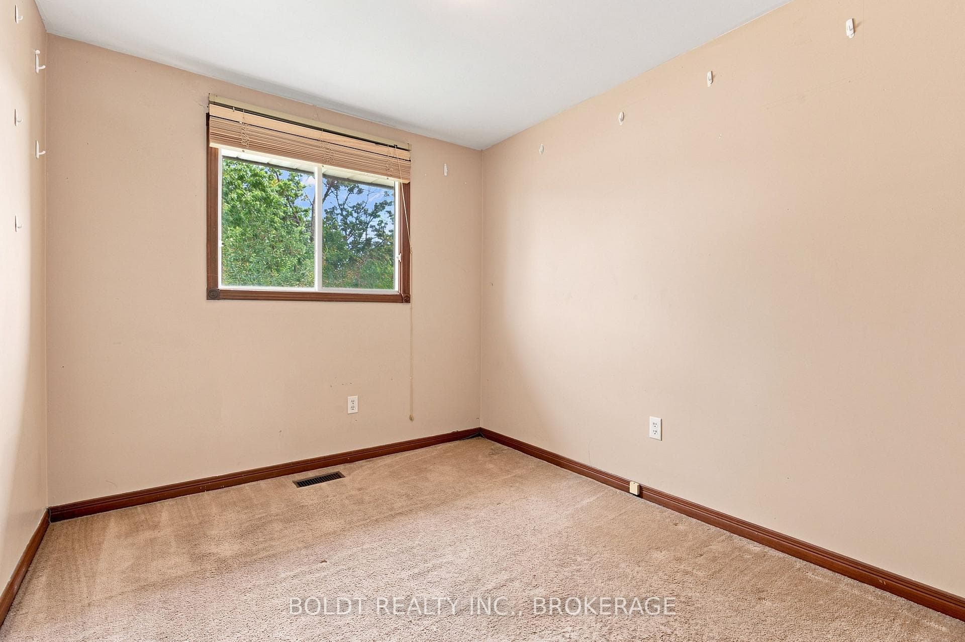 44 Culligan Crescent photo 12