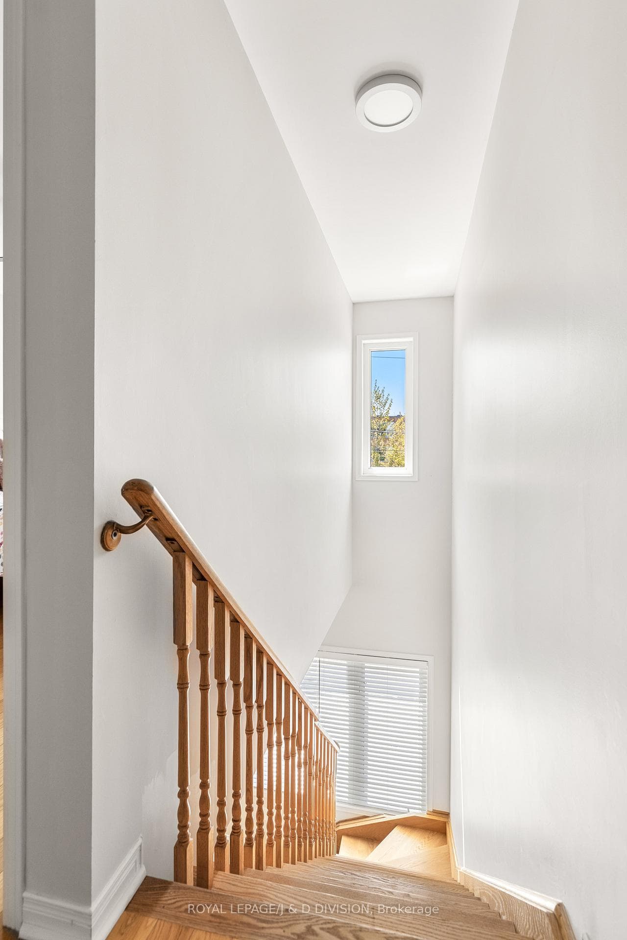 446 Sammon Avenue photo 23