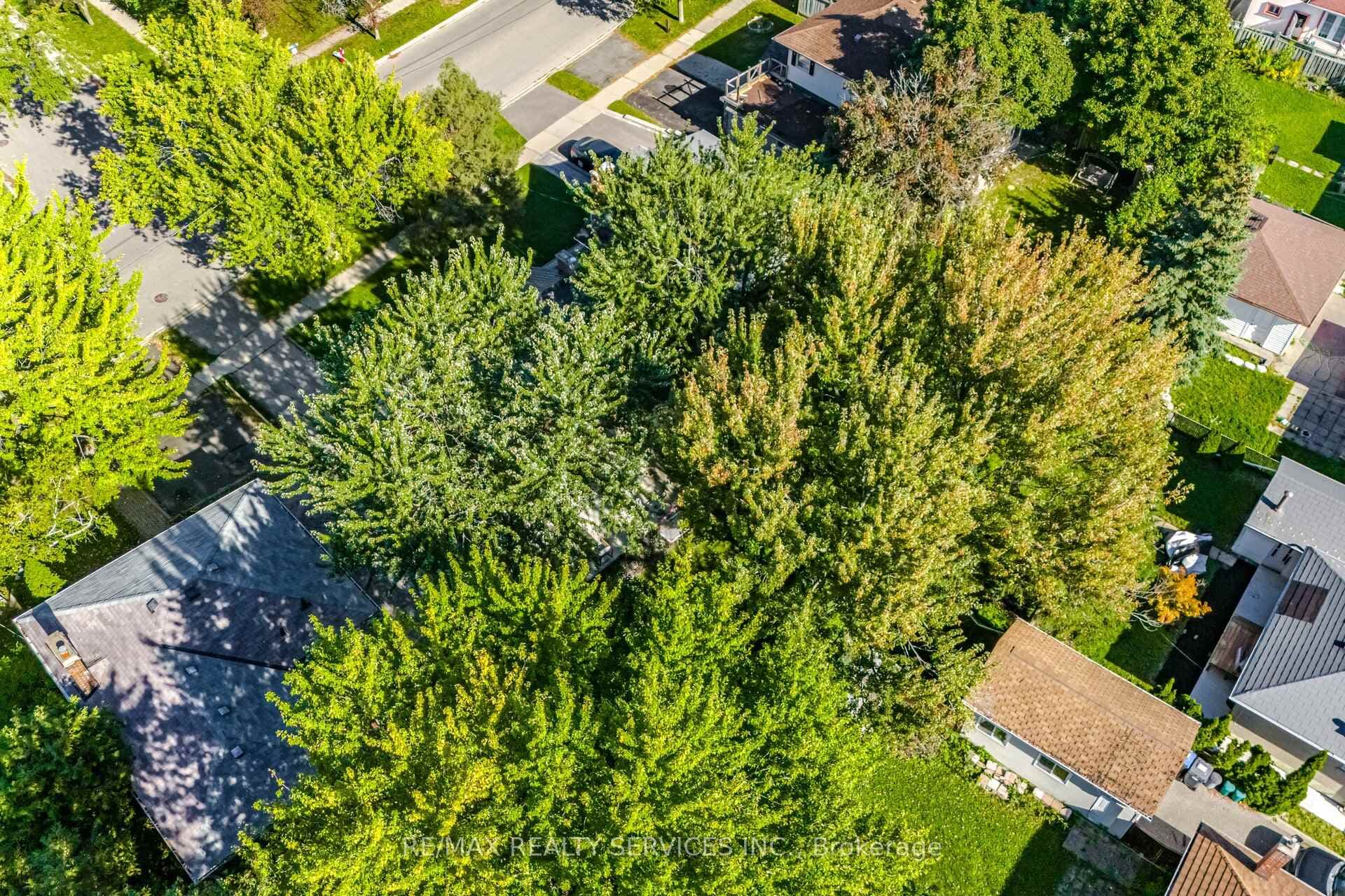 85 Eldomar Avenue photo 41